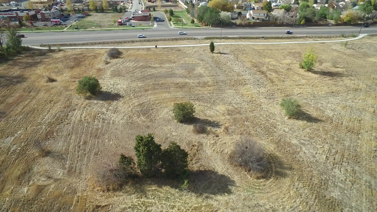 Bird's-eye roadside field with small trees and residential buildings beyond the road.