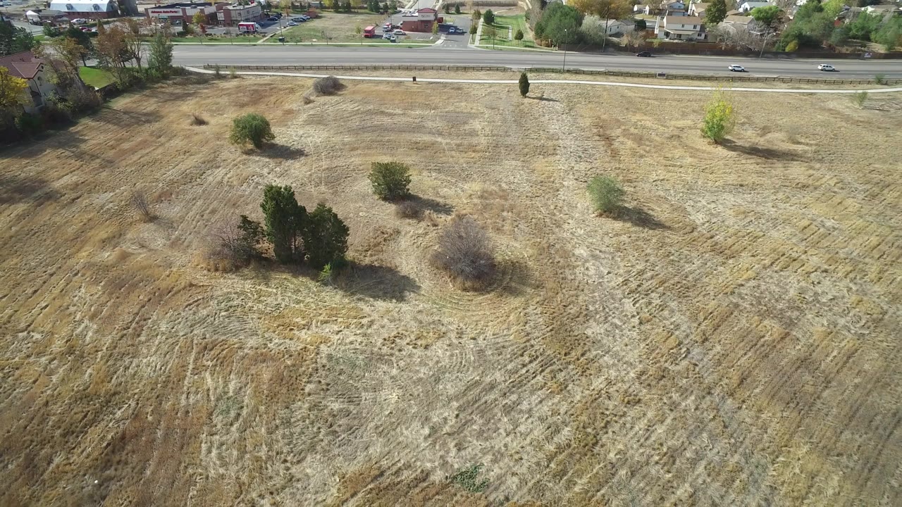 Aerial frame of cleared land with trees casting shadows near a road.
