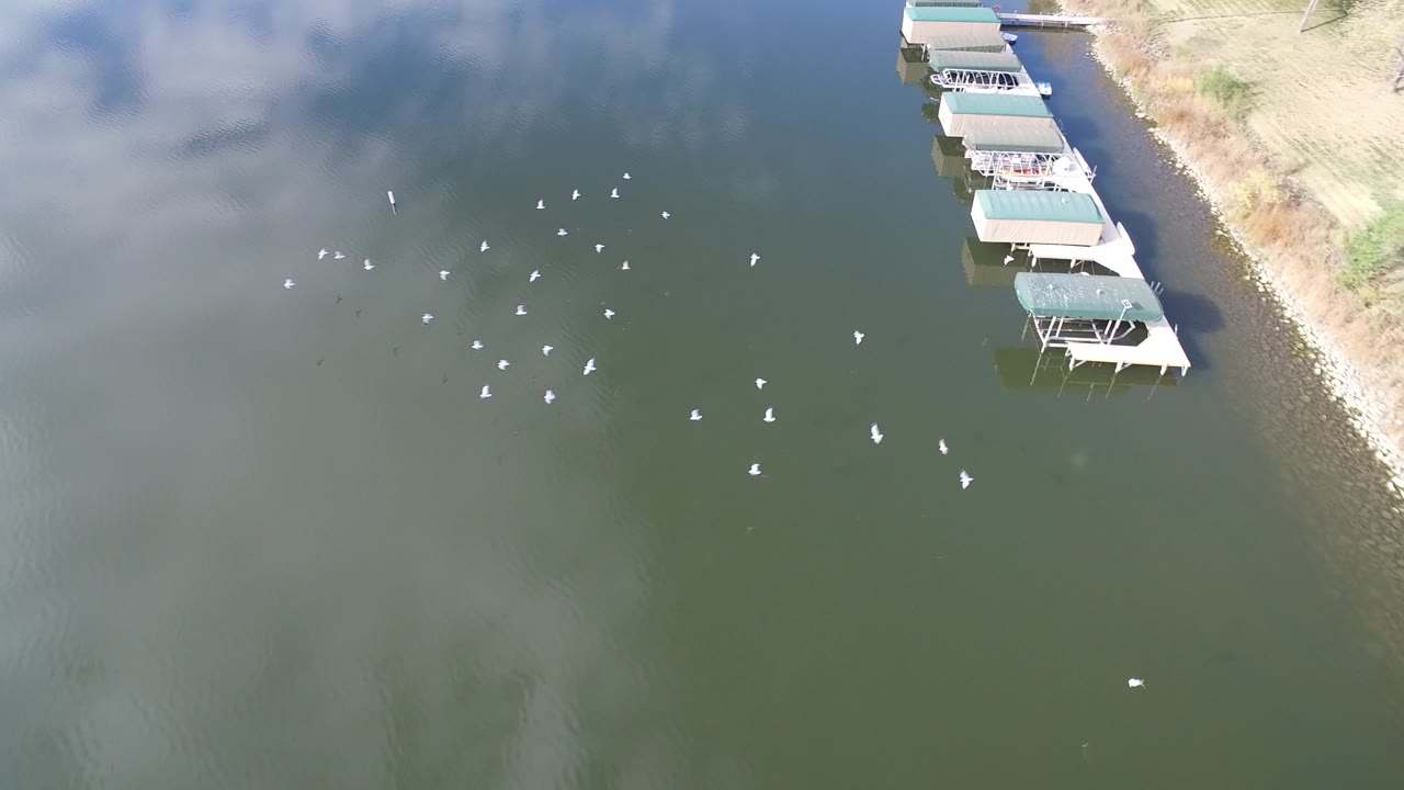 Aerial lake water with birds and covered boat docks