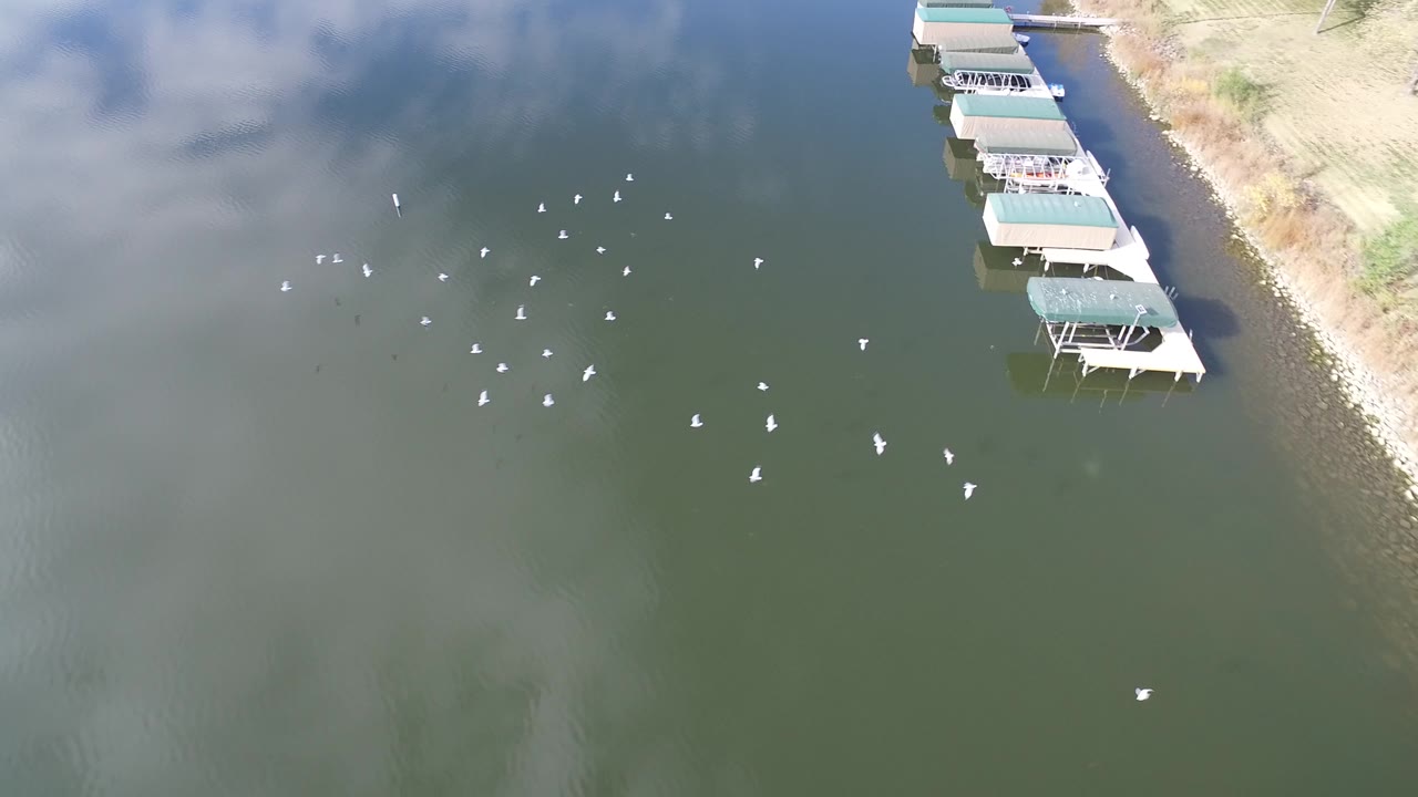 The aerial view continues over Hidden Lake, Colorado with the birds spread wider across the rippled water, the covered docks remaining along the right side, and no visible people.