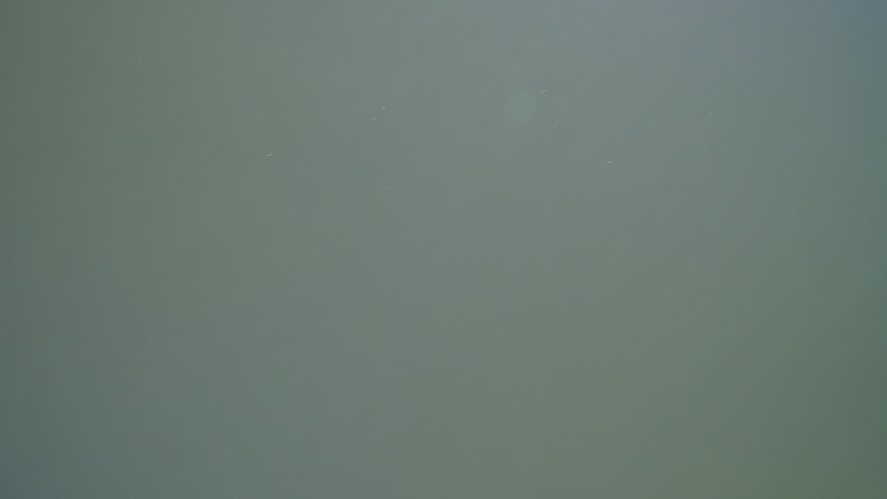 Muted green lake water filling the frame