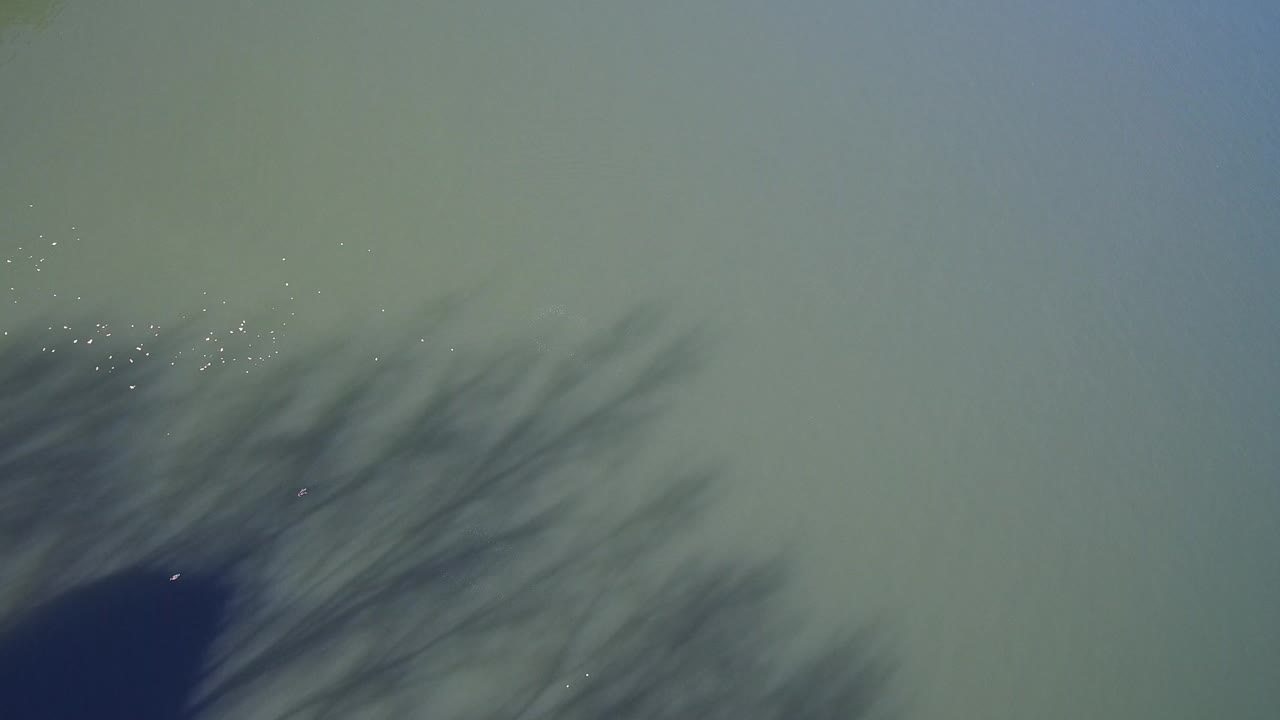 Overhead lake surface with soft shadows and scattered bright specks.