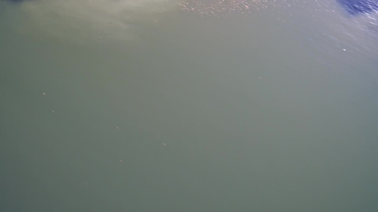 Overhead view of green lake water with faint sun glint near the top edge.