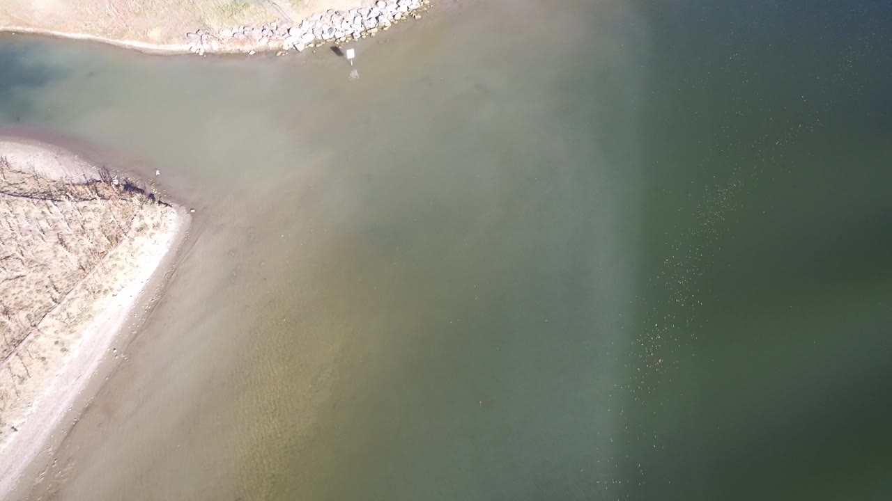 Overhead view of pale sand meeting green-gray lake water.