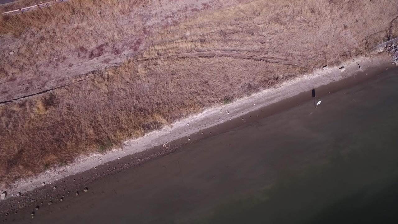 Overhead shoreline with darker water, dry grass, a small rocky section, and pale beach.