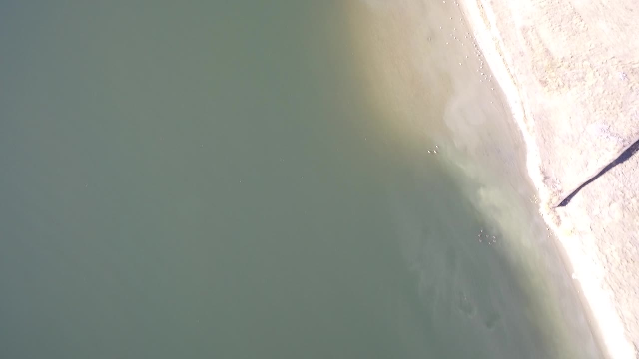 Overhead view of green water beside a pale sandy shoreline.