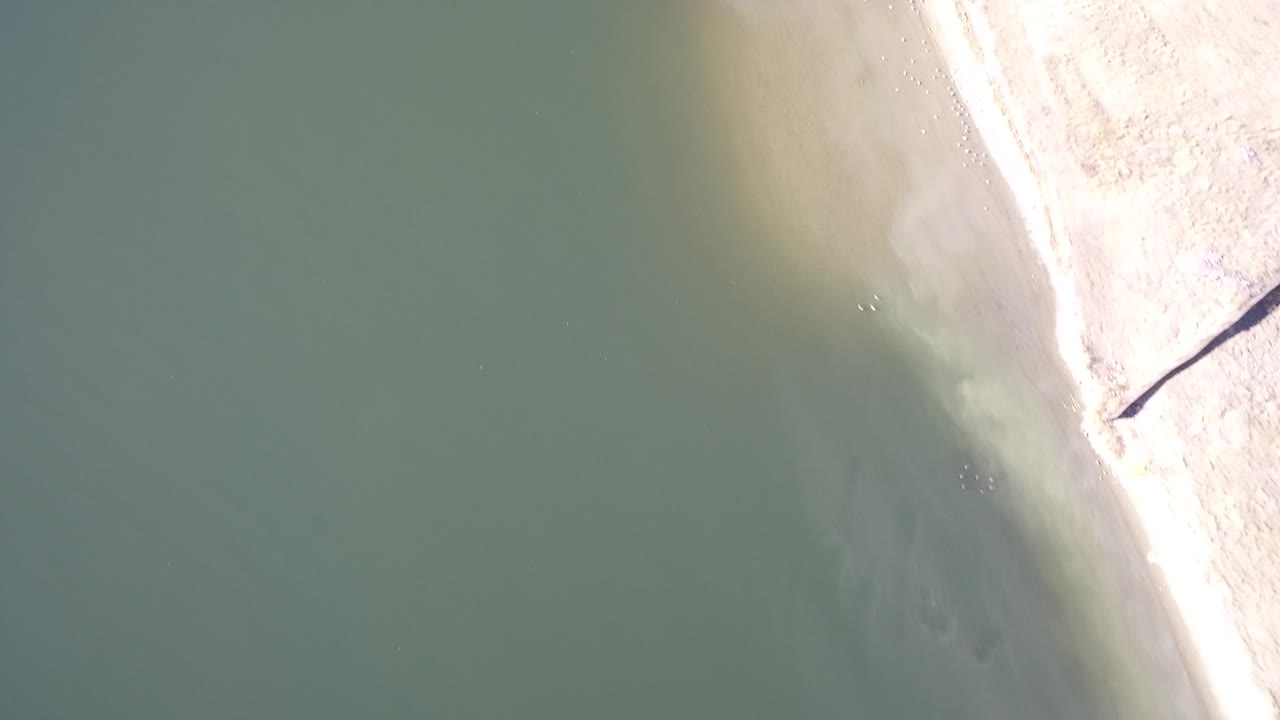 Aerial frame over Hidden Lake, Colorado with muted green water covering most of the view, a diagonal strip of bright shoreline, and no visible people.