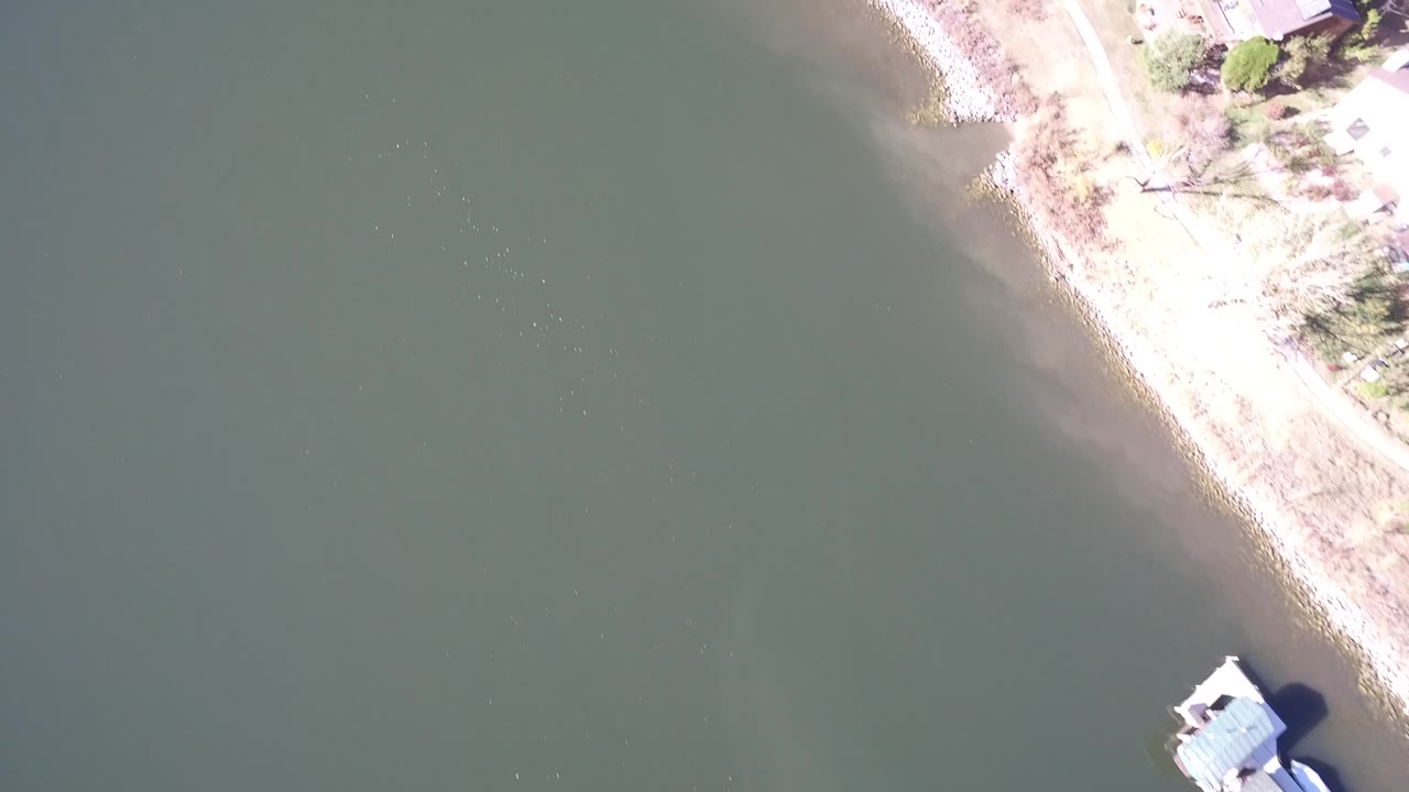 Top-down lake shoreline with a dock-like structure or house corner near the lower right.