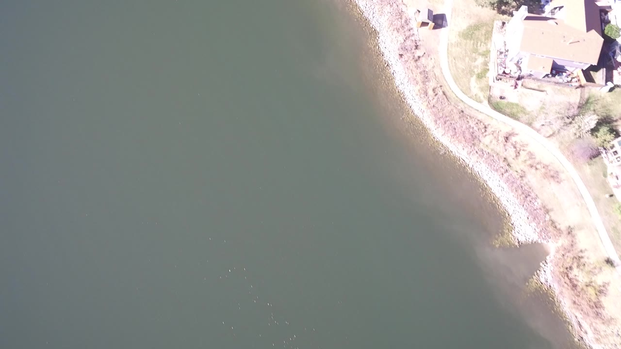Overhead view of green water beside a rocky shoreline and nearby homes.