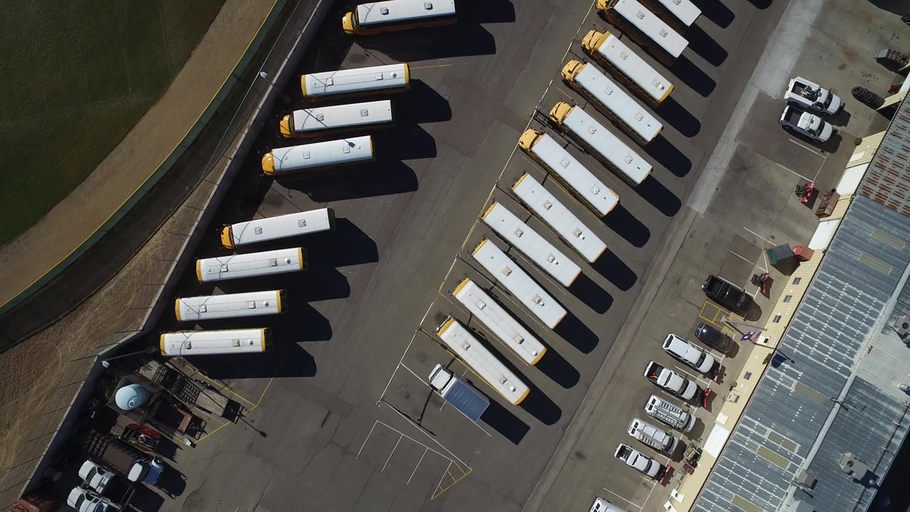 School bus lot with buses, cars, and striped pavement markings.