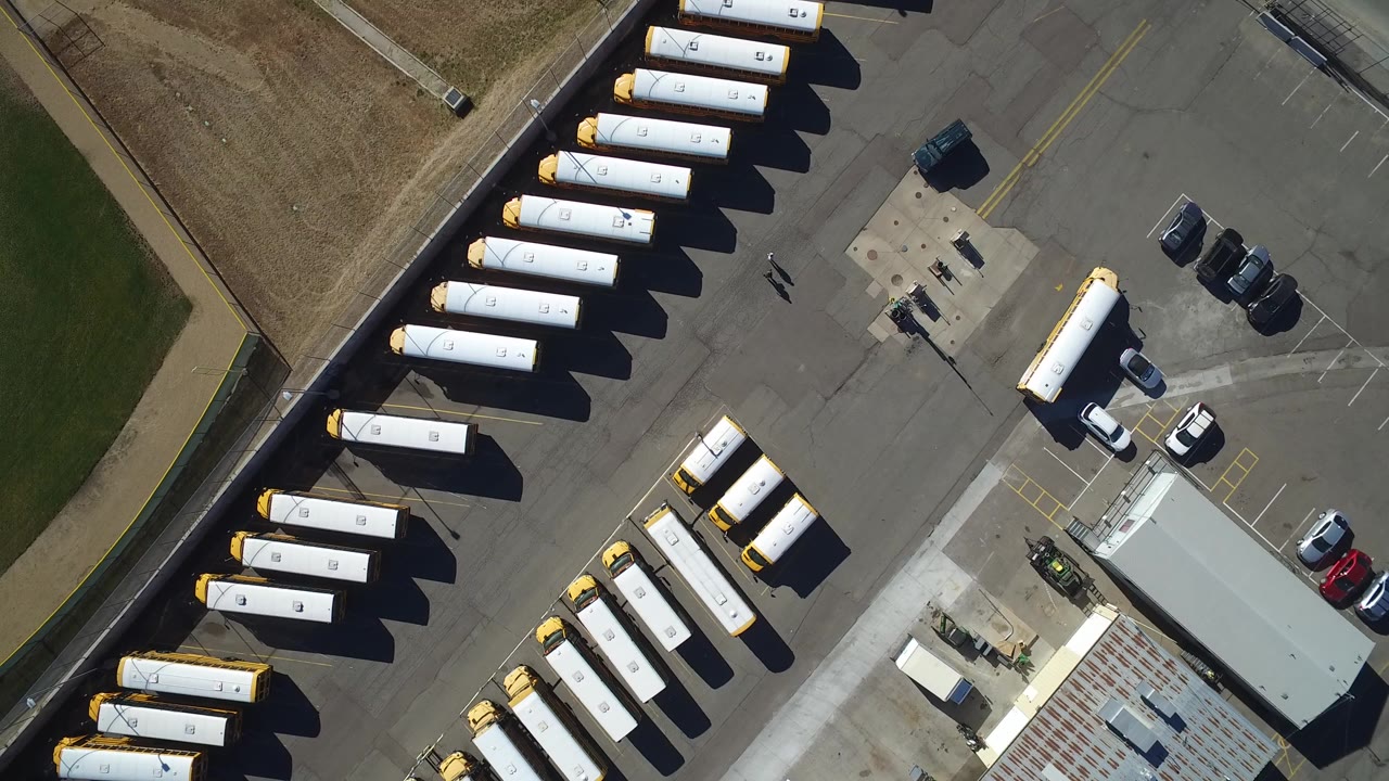 Overhead view of rows of yellow-and-white buses in a paved lot.