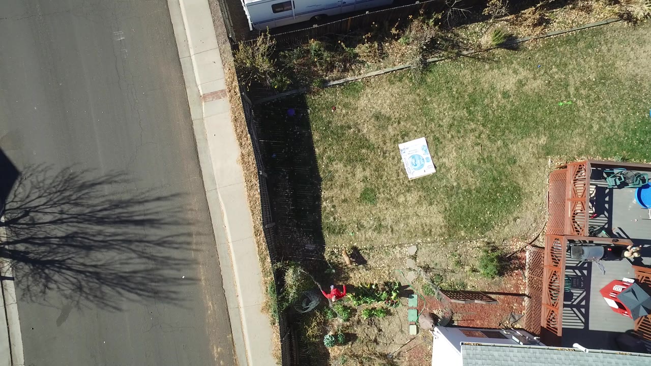 Aerial-looking view in Westminster, Colorado with the small dog still near the lower fence line, the wood deck at right, and no visible people.