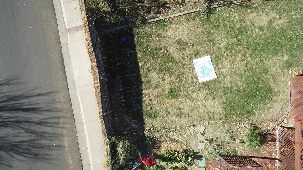 Aerial frame in Westminster, Colorado with patchy green and tan grass, a white board or sign on the lawn, the street and sidewalk at left, and dark fence shadow along the yard edge.