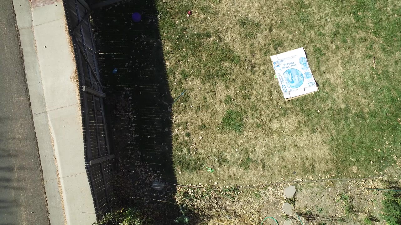 Overhead view of grass beside a sidewalk and dark fence shadow.