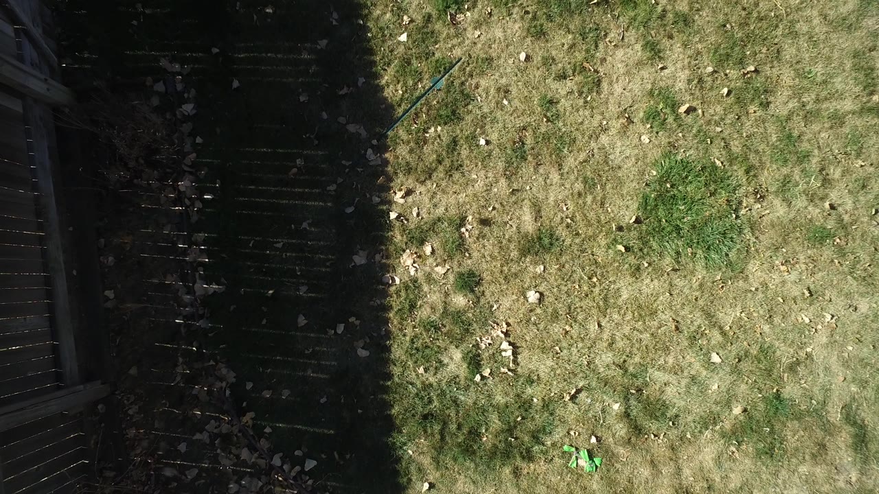 Patchy grass beside a dark fence shadow