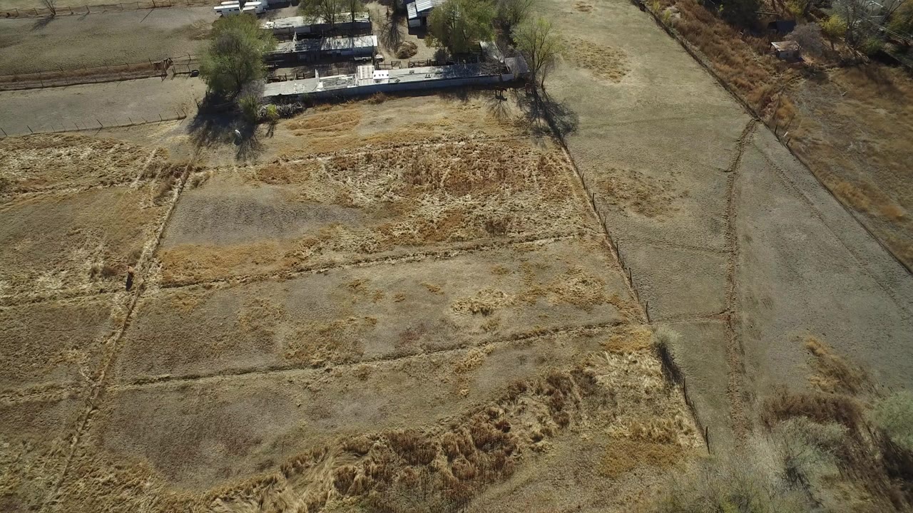 High oblique aerial frame in Hidden Lake, Colorado showing pale brown field sections, rough torn crop texture, a dirt track, trees, and low structures near the top edge, with no visible people.