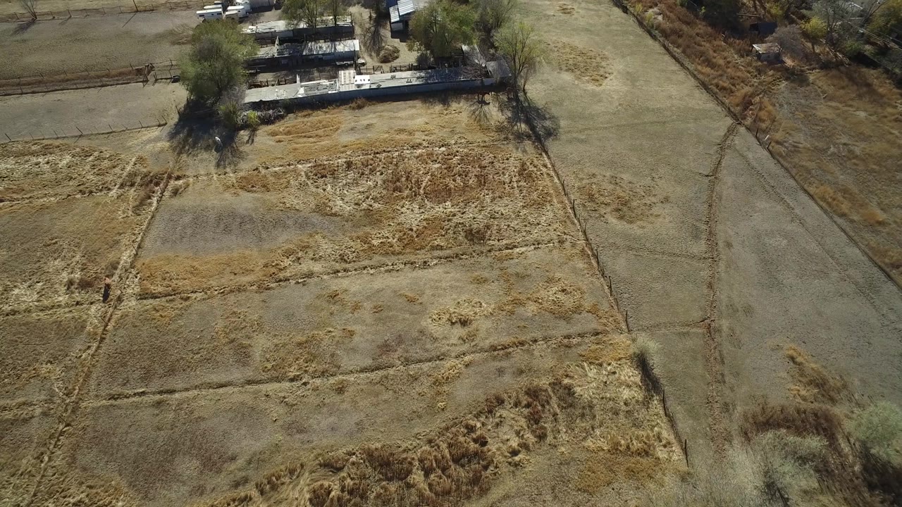 Aerial view of torn tan field sections with buildings and trees at the top of frame.