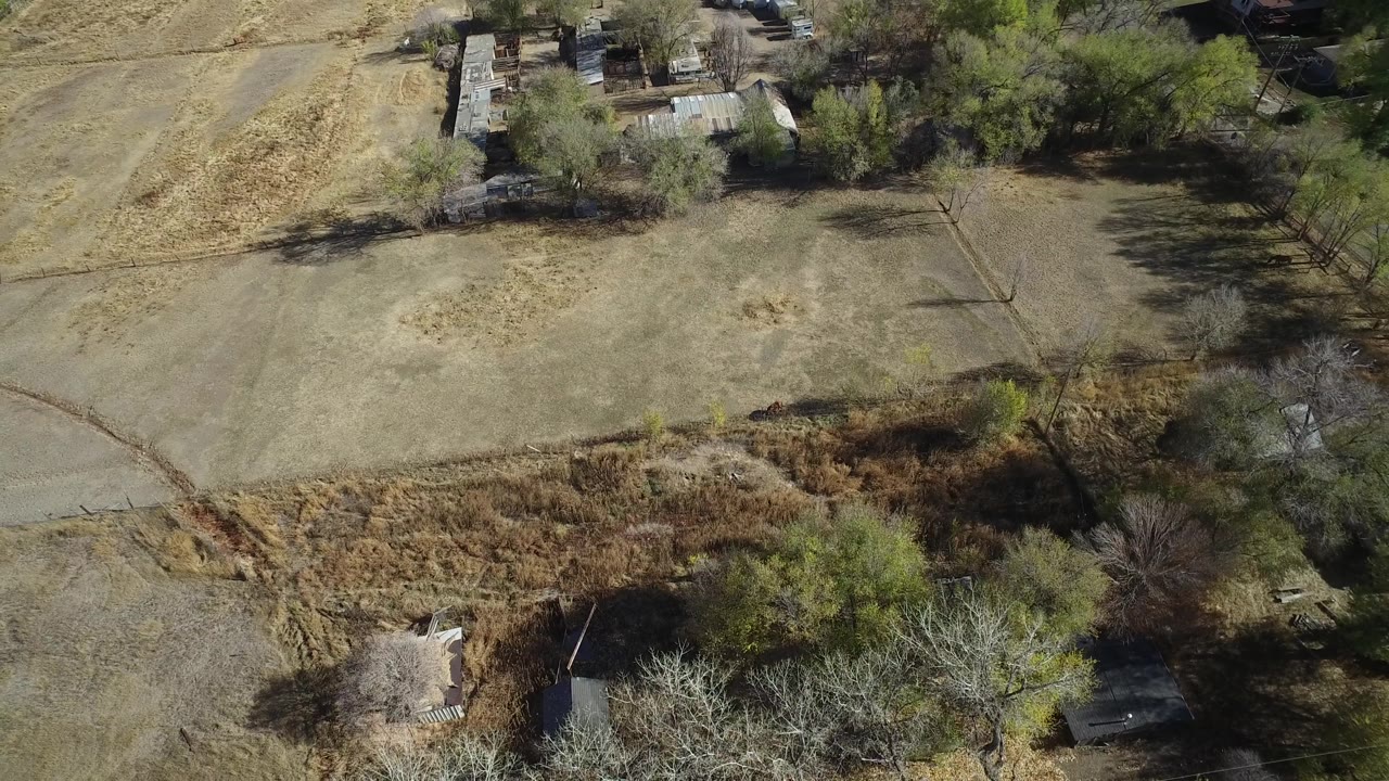 Drone-like overhead view of a dry field beside trees and buildings.