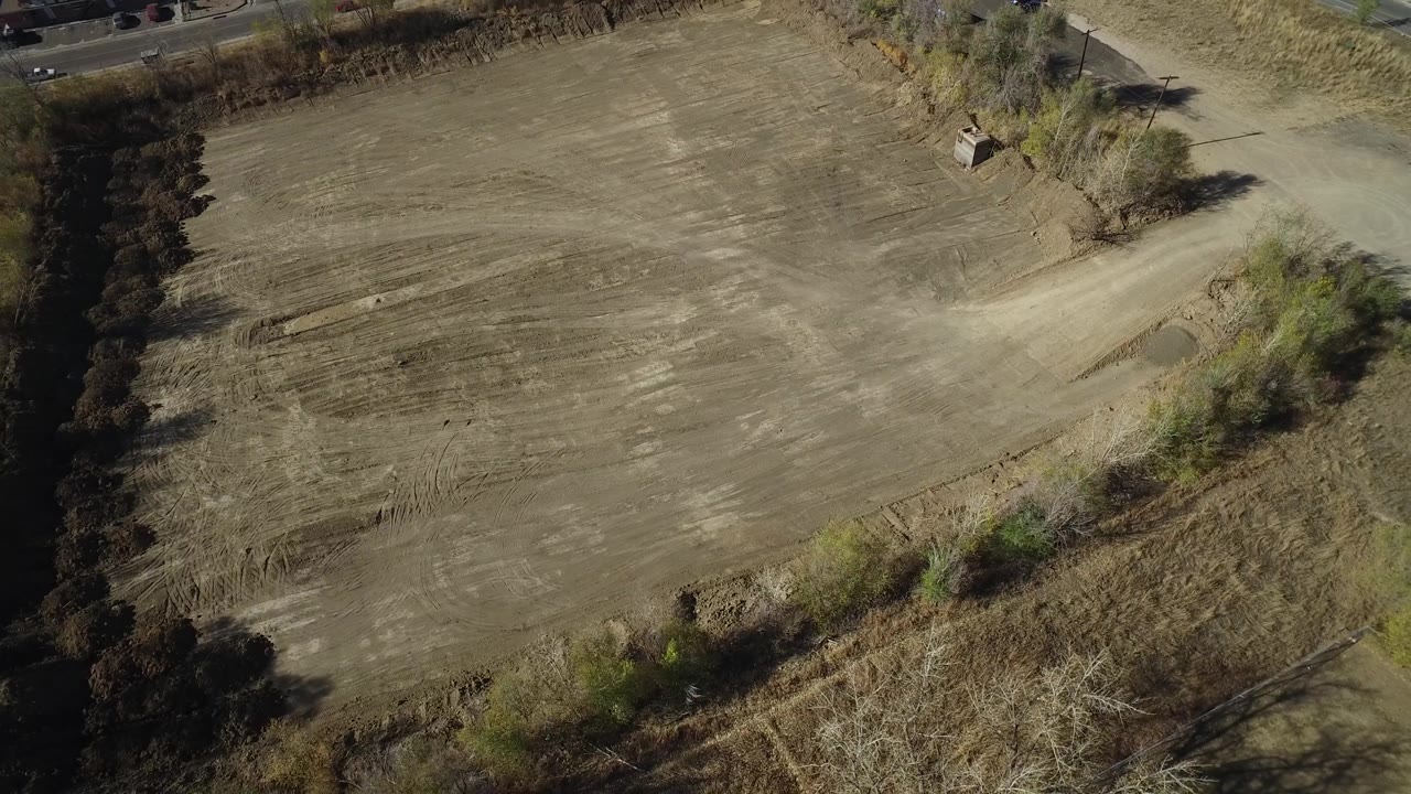 Overhead frame of a dry Westminster field with pale grass, dark tree shadows along the left edge, brush at the lower edge, and no visible people.