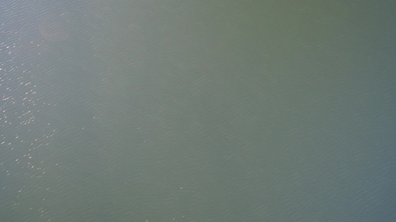 Muted green-blue water surface with small ripples and bright glints.