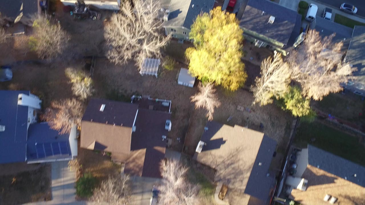 Overhead view of houses, trees, driveways, and a residential street.