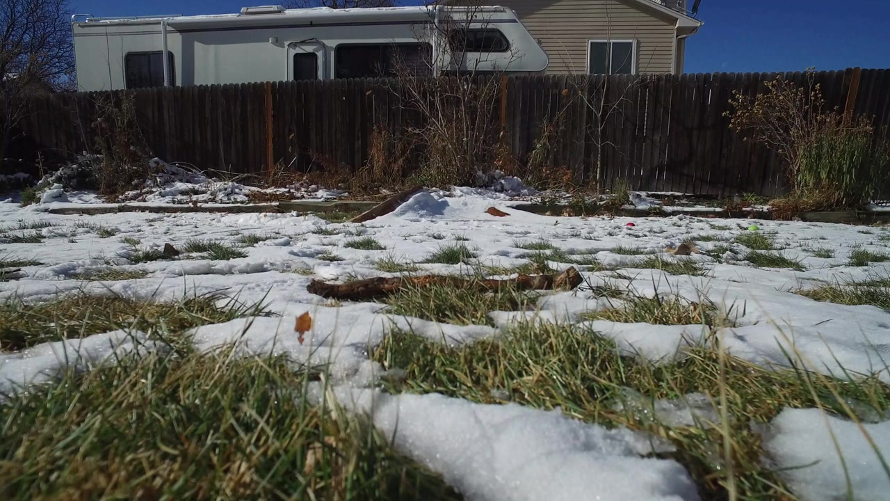 Low snowy backyard with grass, wooden fence, RV, and house behind it.