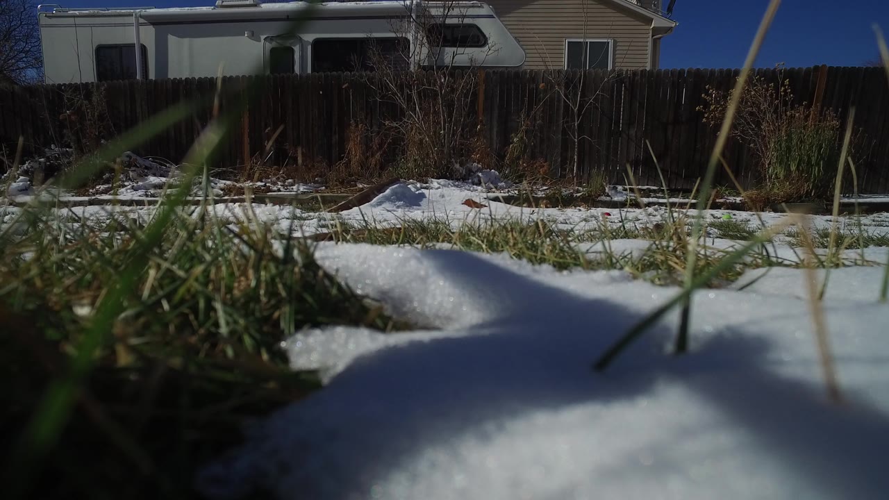 Foreground grass blades cross a patch of snow in Hidden Lake, Colorado, with the fence, RV, and part of a house visible behind, no visible people.