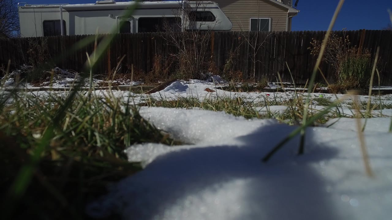 At 0:01, the same Hidden Lake backyard composition holds on patchy snow, foreground grass blades, a dark wooden fence, winter plants, an RV or trailer, and no visible people.