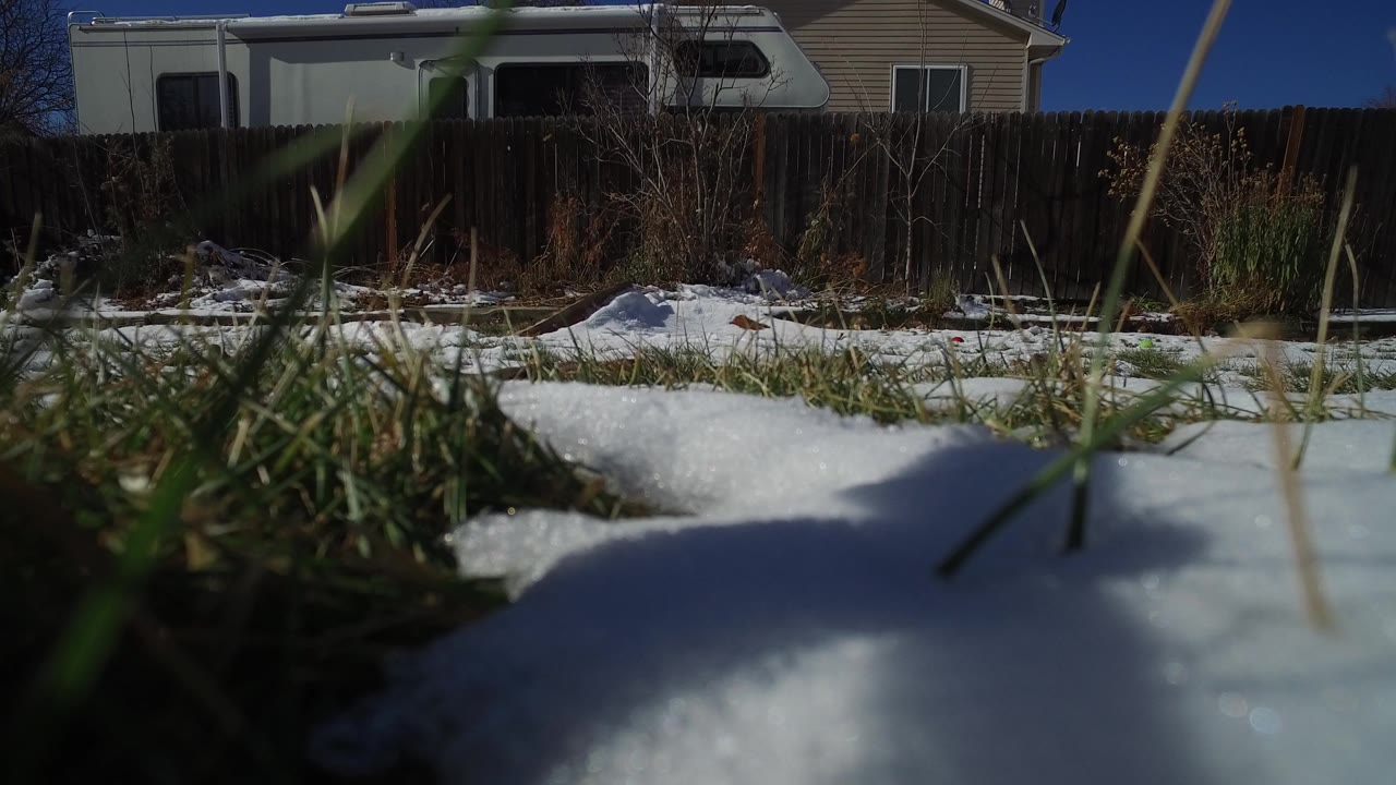 Melting snow and grass in a residential yard beside a wooden fence.