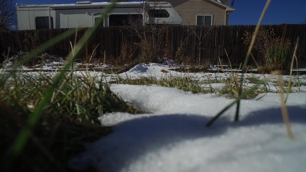 Low snowy grass view with fence, RV, and house behind it.