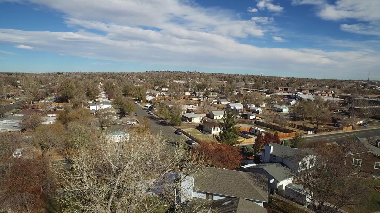 Aerial frame over Westminster, Colorado showing clustered houses, pale winter trees, a curved road, backyard fences, distant rooftops, and no visible people.