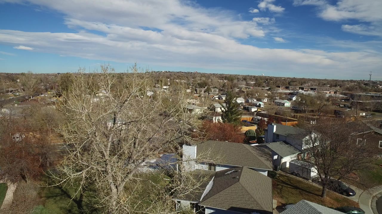 Opening aerial view over Westminster, Colorado homes, with a large bare tree at left, rooftops below, distant houses on the horizon, and no visible people.