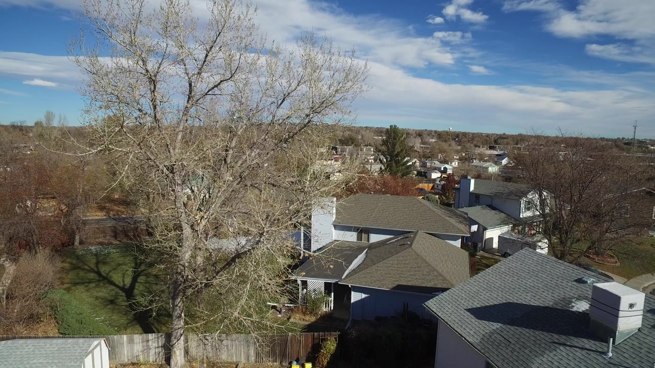 Elevated view of suburban rooftops, backyards, bare trees, and blue sky.