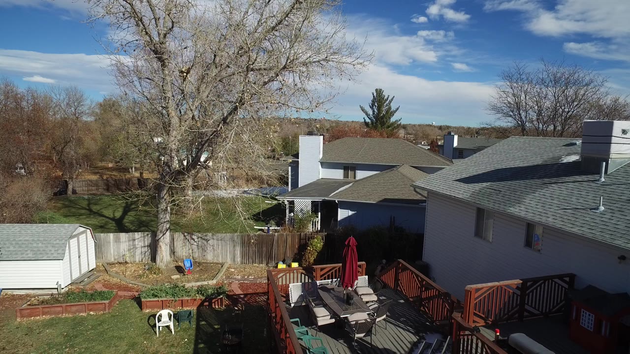 A slightly shifted Westminster backyard view shows a large bare tree near center, fenced lawns, gray rooftops, a red deck with patio seating, and no visible people.