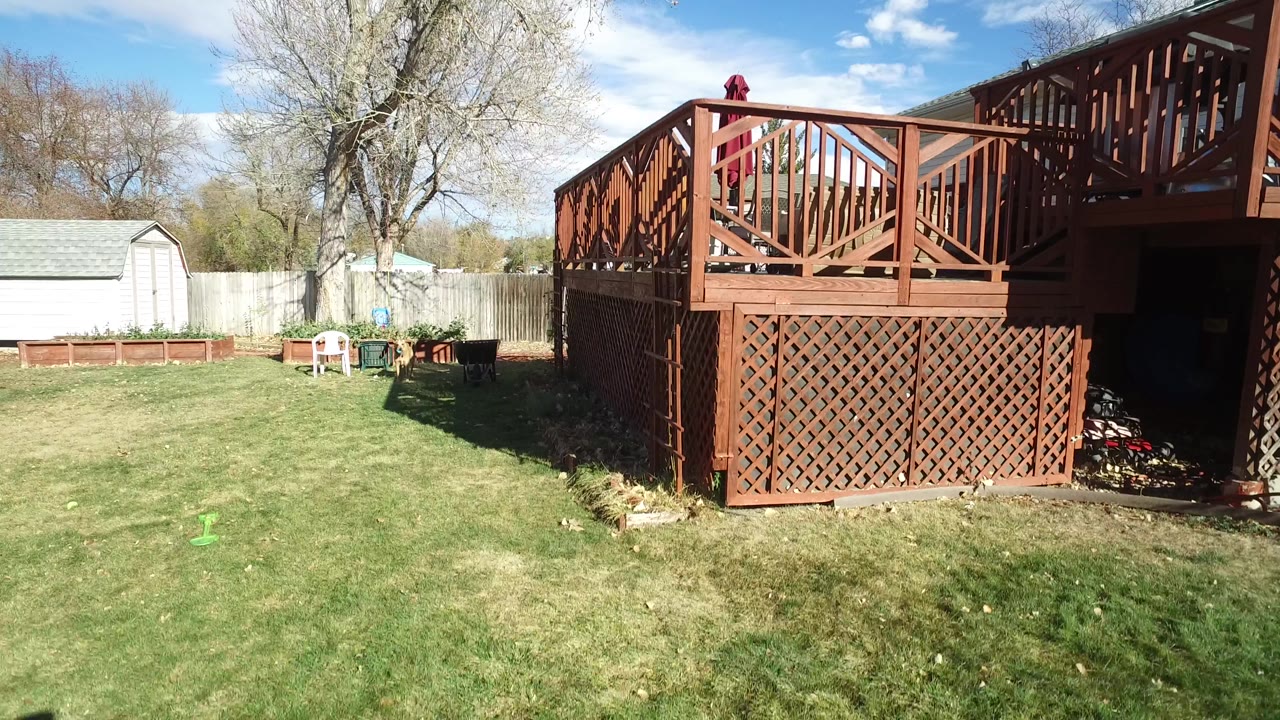 A similar wide backyard frame in Westminster, Colorado shows the wooden deck on the right, open lawn in front, white shed and fence in back, and a tiny person visible near the deck railing.