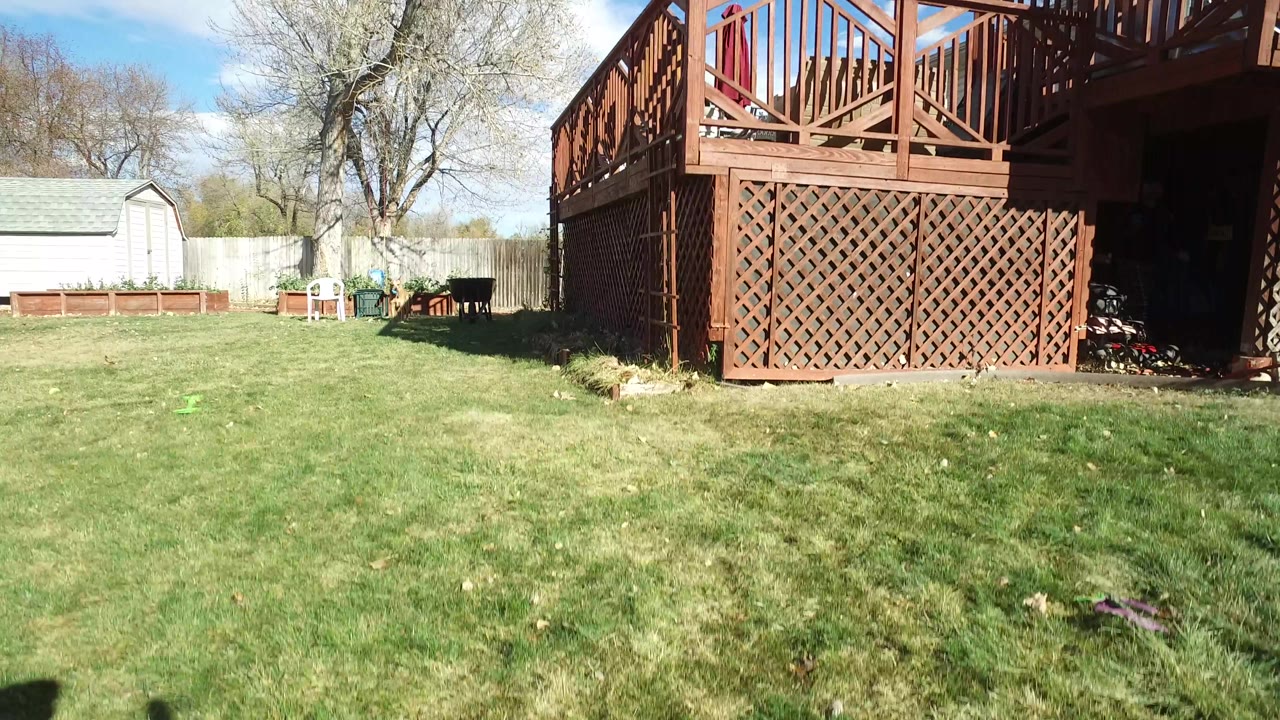 Backyard lawn with deck close to the right side.