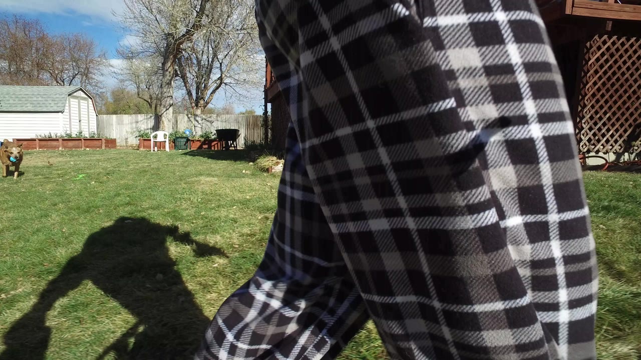 In a Westminster, Colorado backyard, plaid pajama pants fill the foreground while a tan dog stands on the grass near a fence and shed.