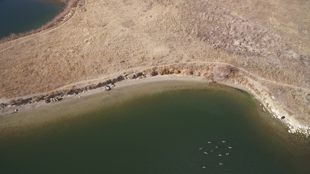 Overhead Westminster, Colorado frame with green water along the lower edge, tan shoreline, a narrow path through dry grass, small rocks, and no visible people.