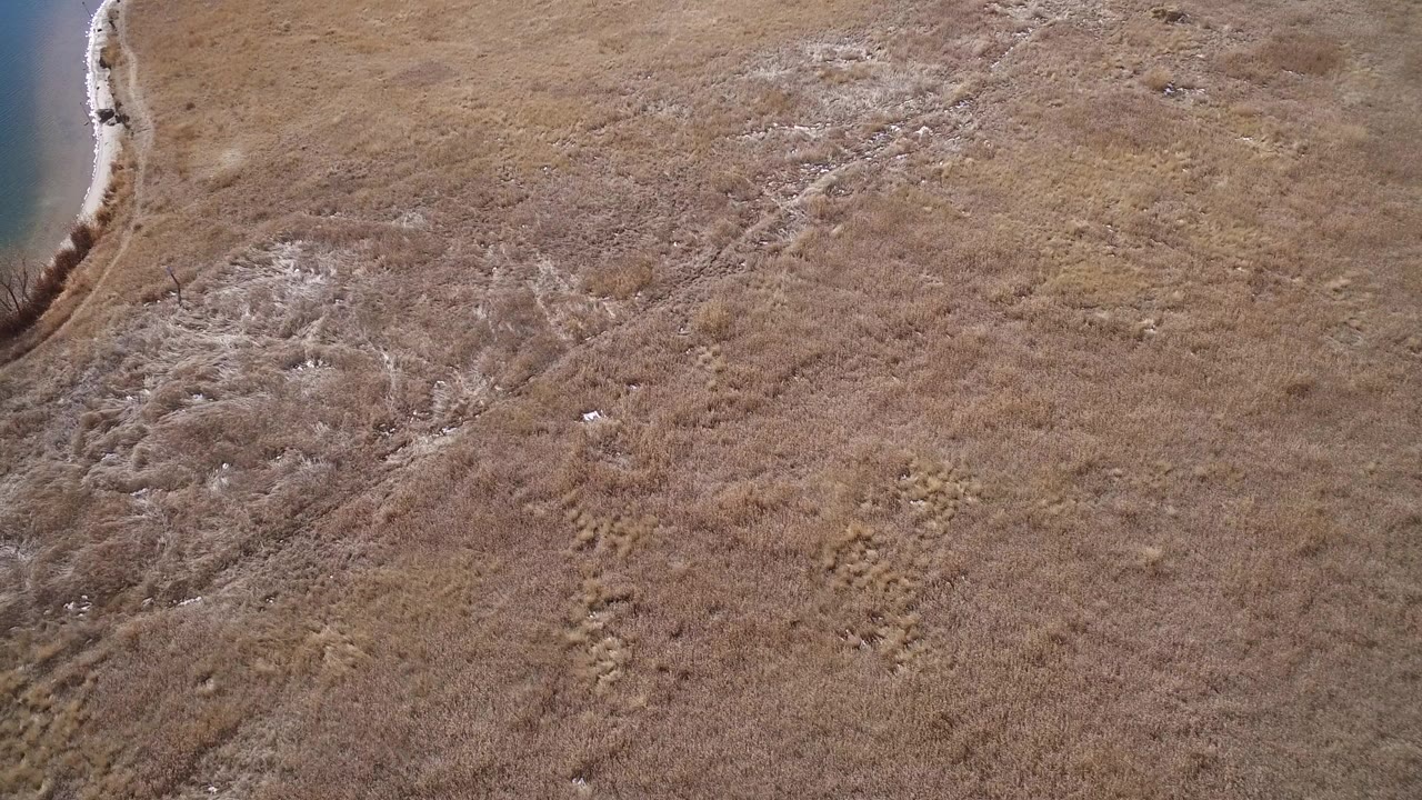 Aerial view of dry grassland beside a curved water edge.
