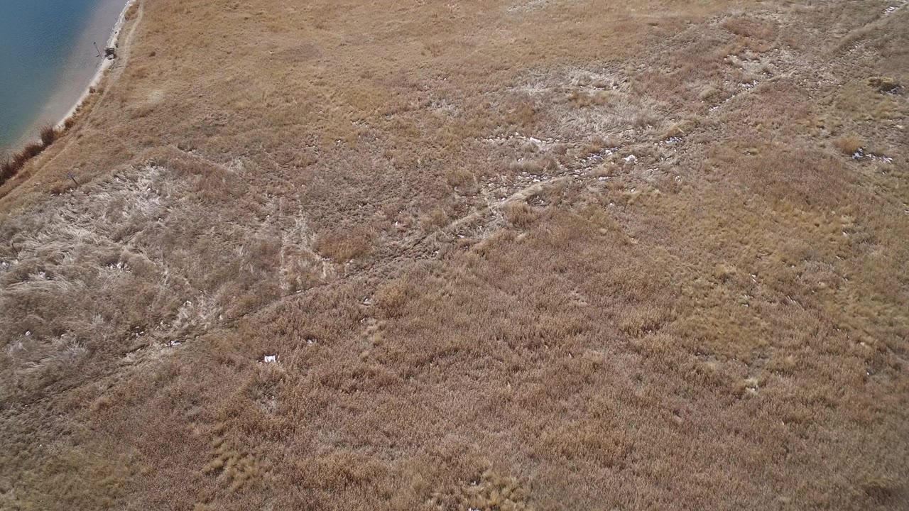 A high aerial frame in Westminster, Colorado shows tan grassland, pale sediment streaks, scattered rocks, and a curved blue water edge at the upper left, with no visible people.