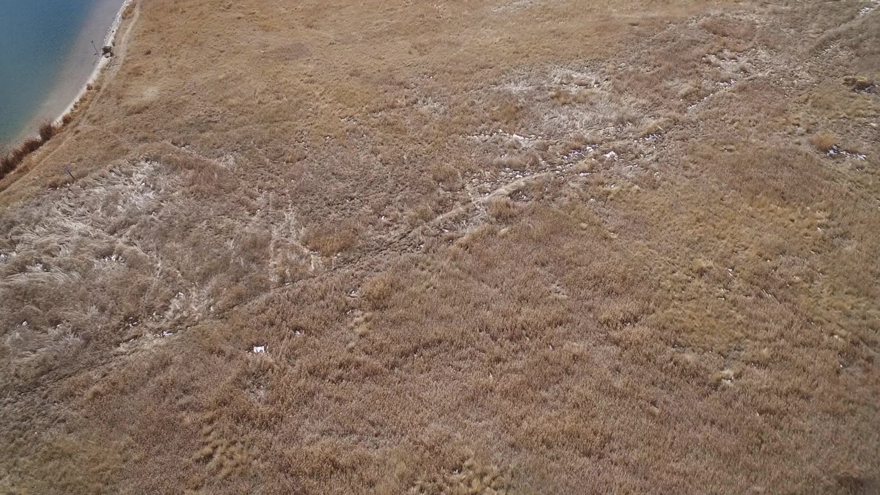 The second aerial frame keeps the blue water corner at upper left while pale branching sediment lines run through brown grassland in Westminster, Colorado, with no visible people.