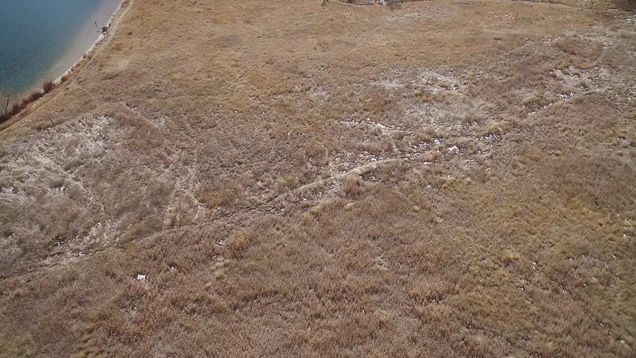 Aerial grassland slope with shoreline and scattered pale deposits.