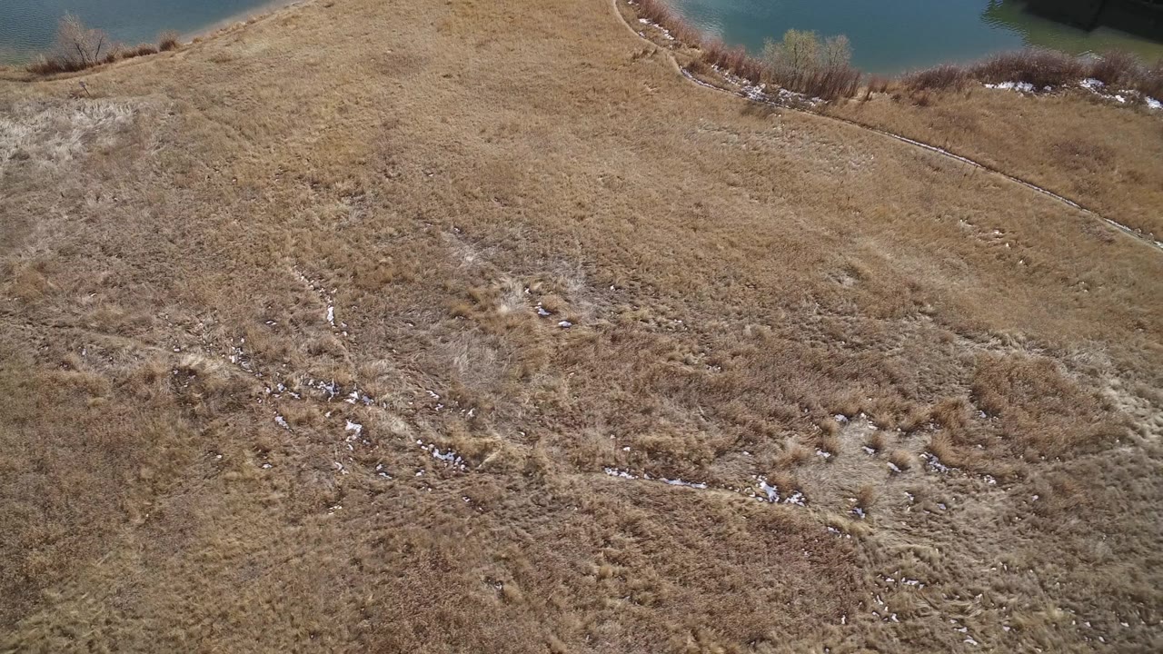 Aerial view in Westminster, Colorado showing dry open grass, a curving shoreline, brush at the bank, and no visible people.