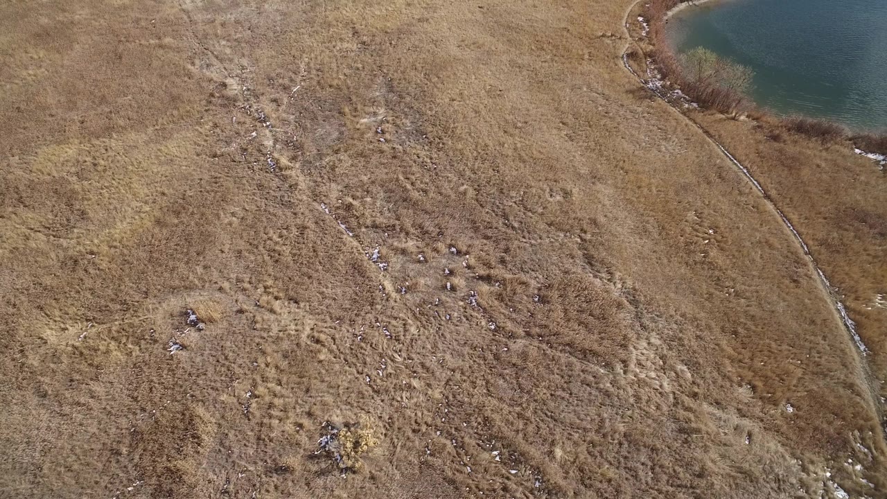 Dry field with rocks and brush near a lake shoreline.