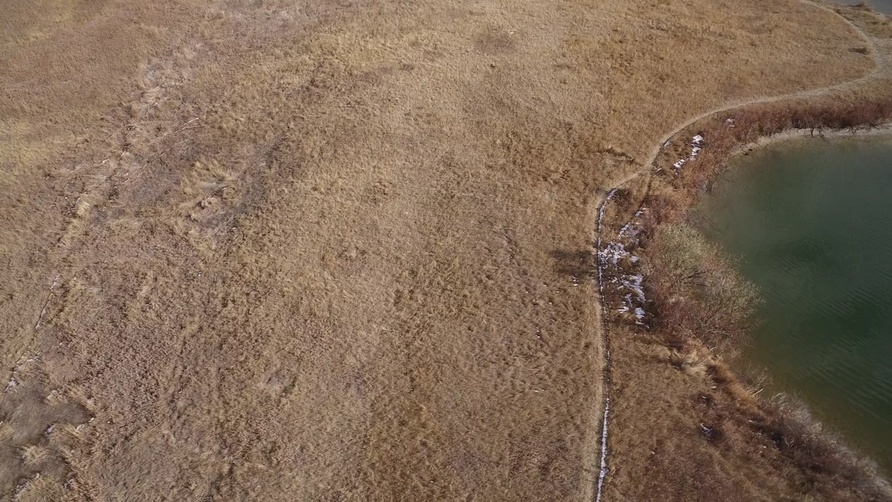 Aerial frame in Westminster, Colorado, with more dry grassland filling the view, the water edge on the right, shoreline brush, and no visible people.