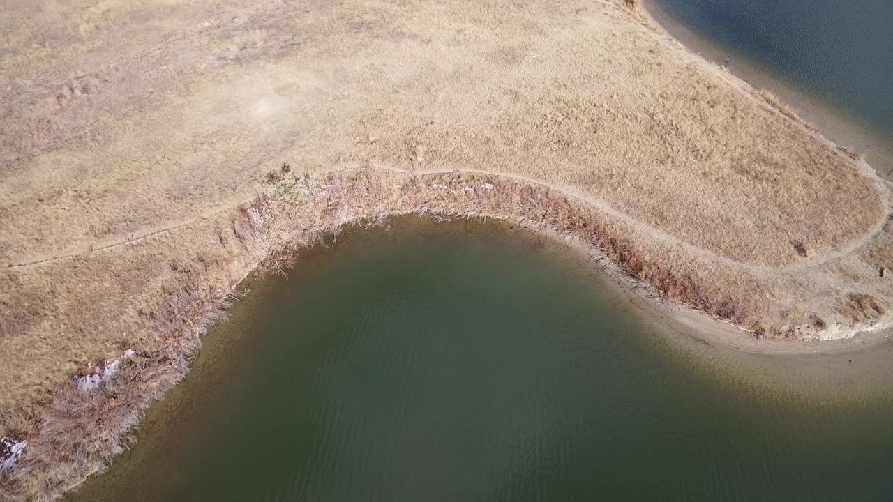 Overhead view of dry grassland curving beside green water.