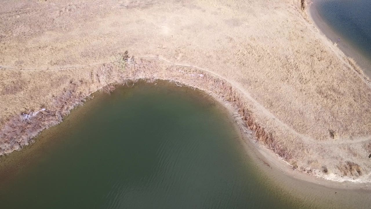 Aerial frame in Westminster, Colorado with dark green water along the lower edge, dry grass above it, brush on the bank, and no clearly visible people at 0:01.