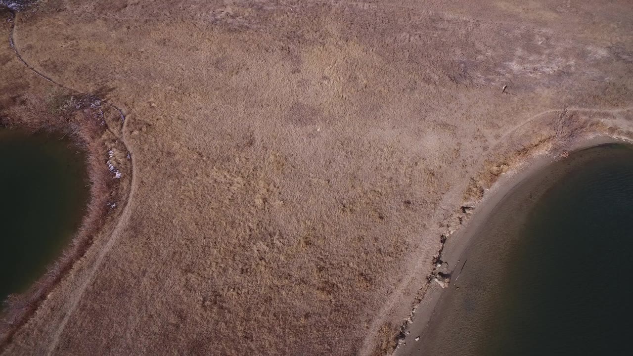 Aerial view in Westminster, Colorado with the water cove centered lower right, pale shore wrapping around it, dry grass filling the background, and no visible people.