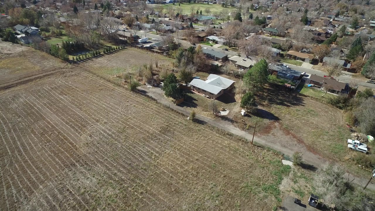 Aerial frame over Westminster, Colorado, showing parallel crop rows, a light-roofed building near the field edge, surrounding homes, roads, and no visible people.