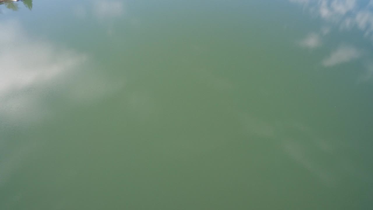 Green-blue lake surface in Westminster, Colorado reflecting soft pale clouds, with a small dark leaf edge near the top and no visible people.